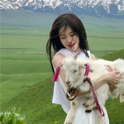大卫王国:以色列人的传奇